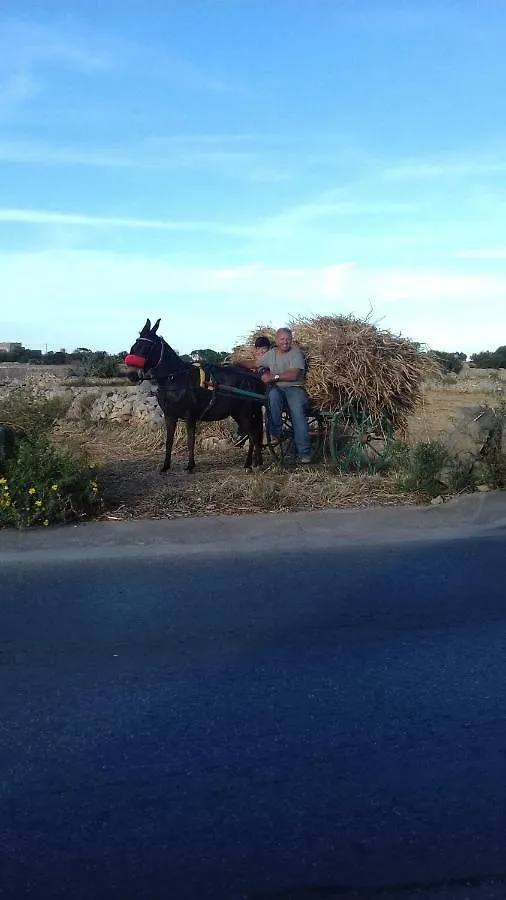 Appartamento Merzuq House Birżebbuġa 0*,  Malta